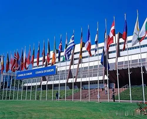 欧盟硬扛美国压力，出台进口中国电动汽车指导文件
昨天商务部发布消息称“欧盟将发布