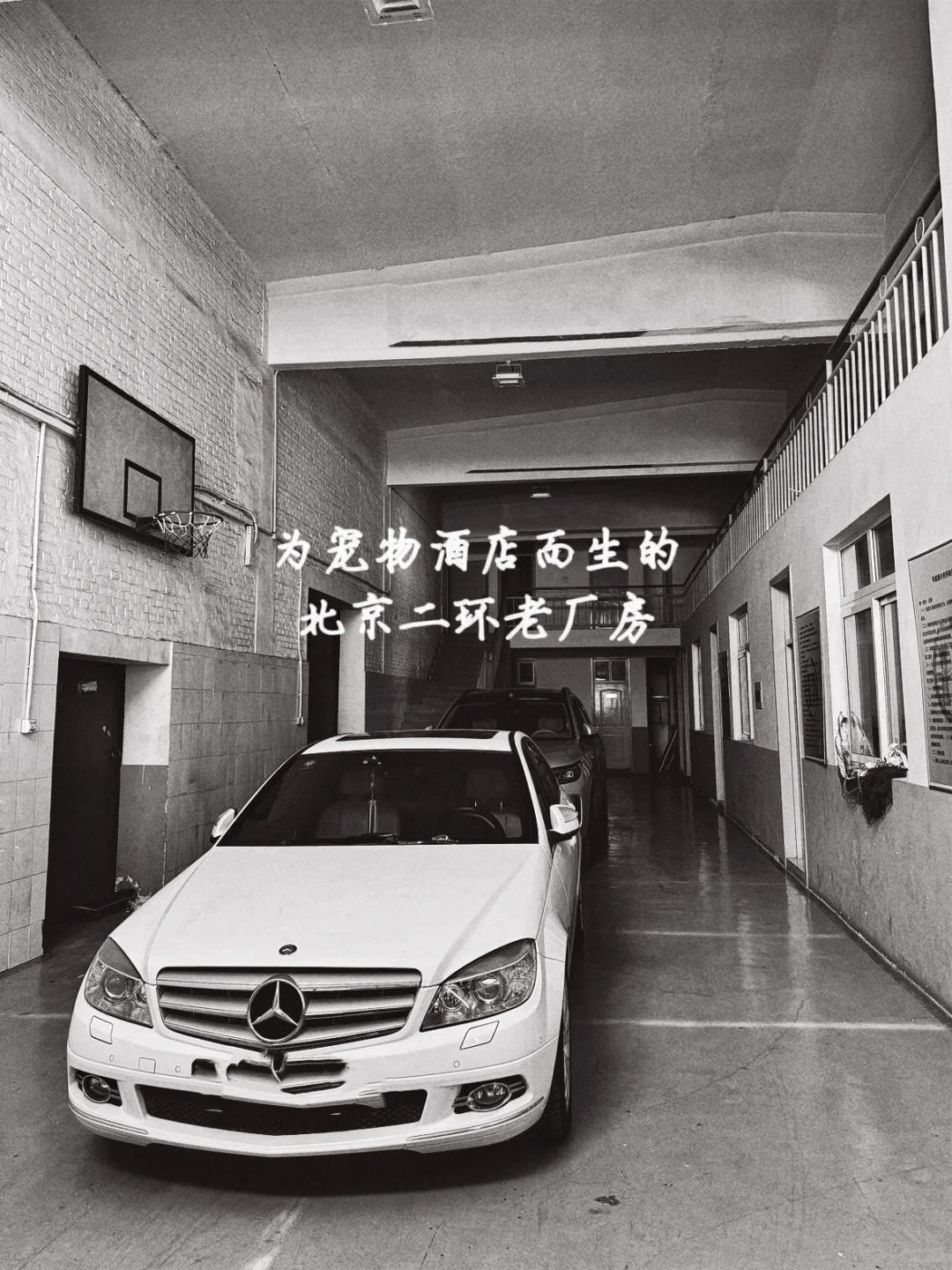 宠物酒店选址老北京二环旧厂房｜真的适合吗