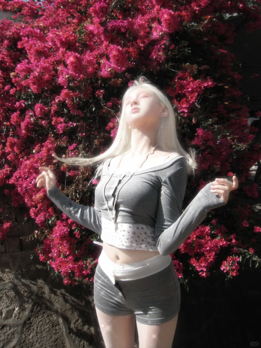 𝓢𝓽𝓻𝓪𝔂 𝓑𝓲𝓻𝓭𝓼