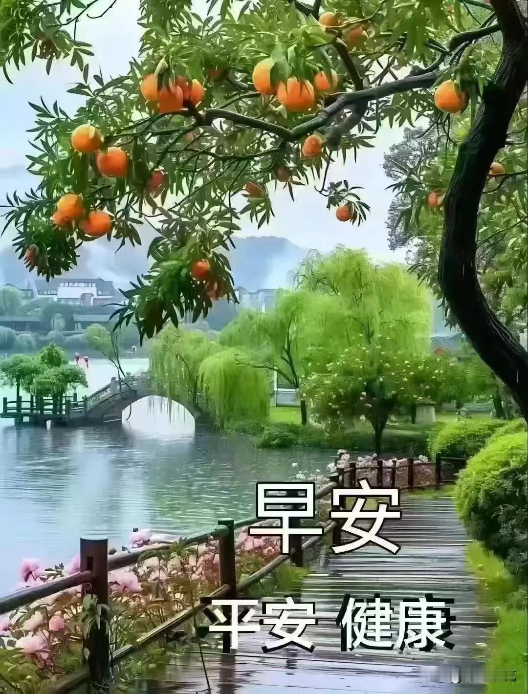 早安吉祥呀[玫瑰][玫瑰][玫瑰]

昨晚睡得好吗？
今天天气不错，
醒来精神爽