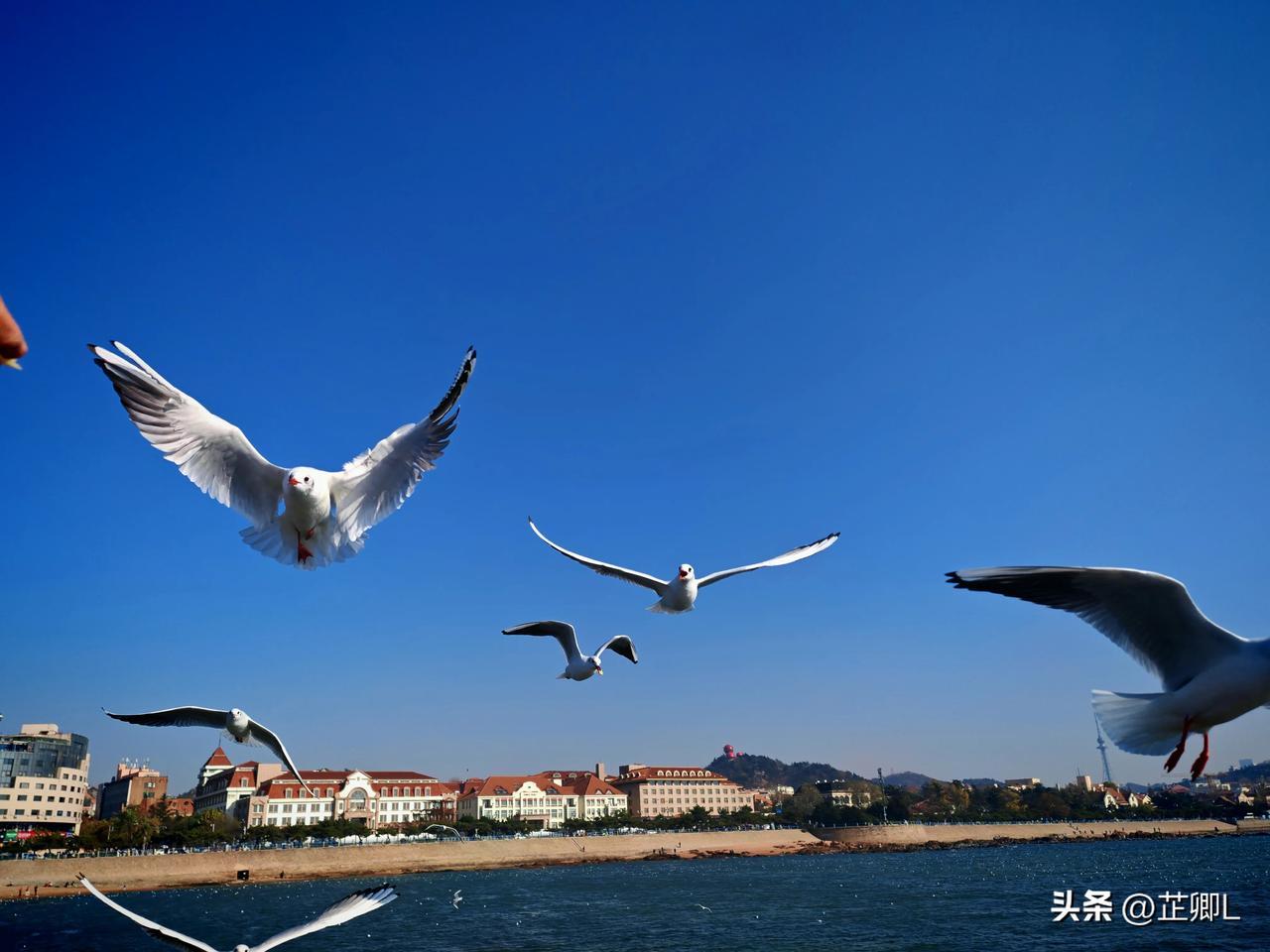 官方劝诫：“别测，好好过！”——乌干达亲子鉴定危机下的魔幻现实：解决不了问题，就