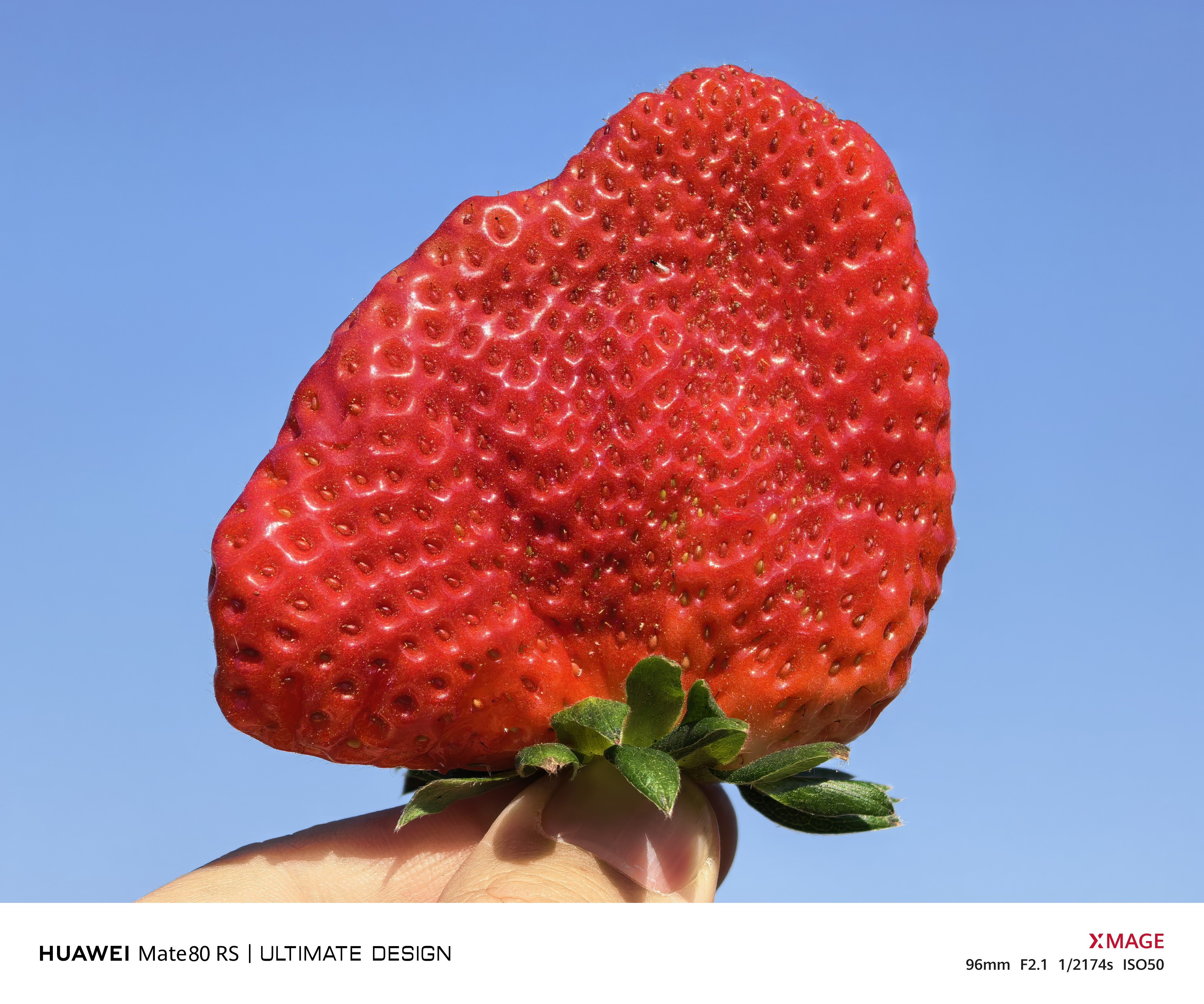 比鸡蛋还要大一圈的草莓你们见过吗？太恐怖了，吃了两个直接跪了，干不动了！攀枝花的