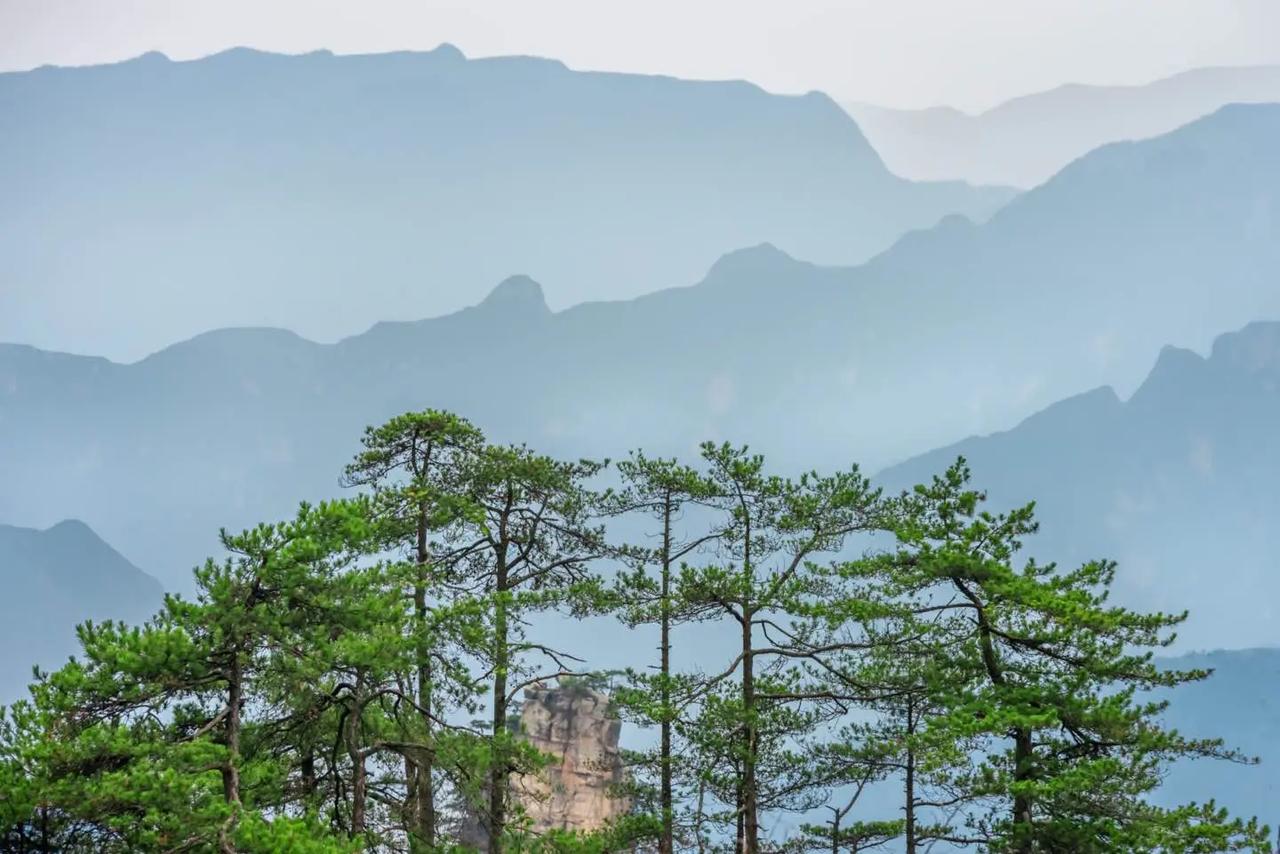 我有个朋友是南京林业大学的教授，他夫人同样也是该校教授。我认为他们教育孩子的方式