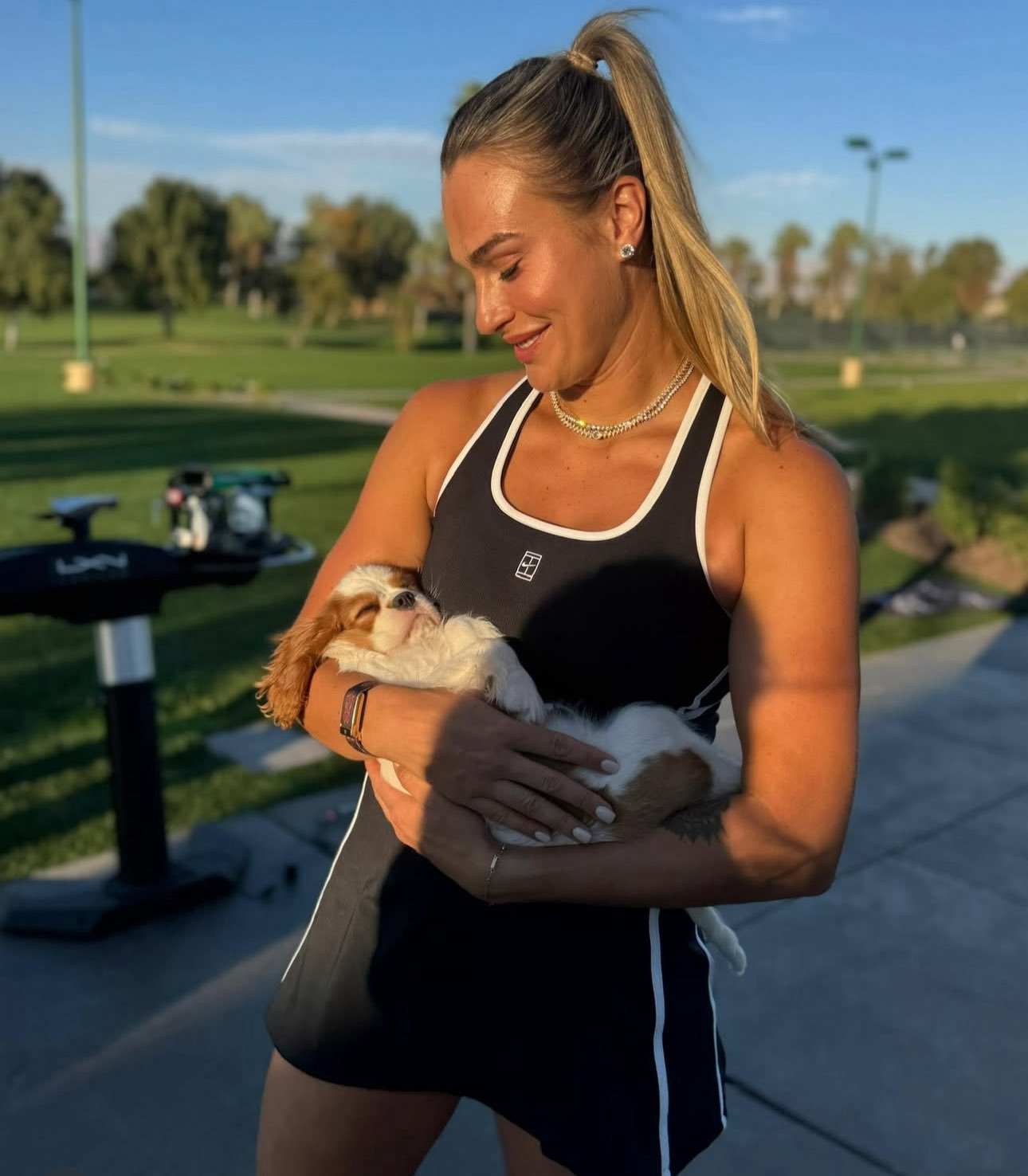 印第安维尔斯女单第二轮有可能出现的精彩对决萨巴伦卡vs帕克斯凯斯vs大威高芙vs