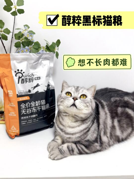 别再说你的猫吃不胖了❗️