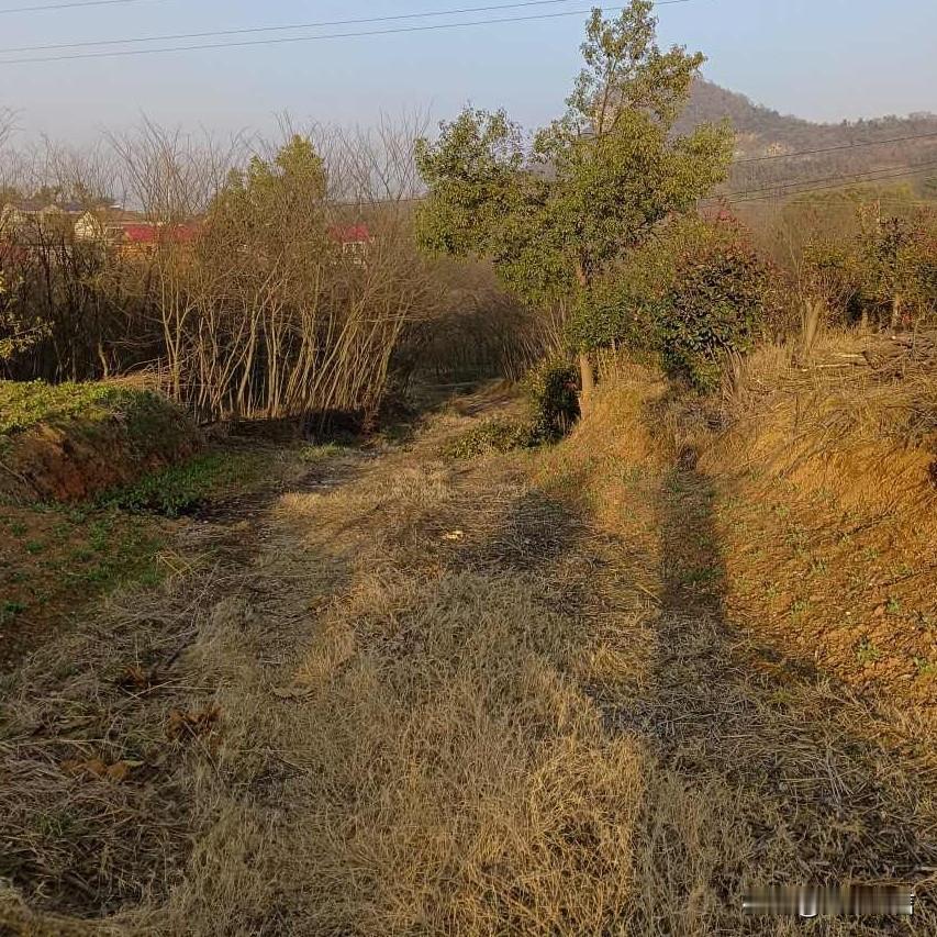 家乡的风景，百看不厌