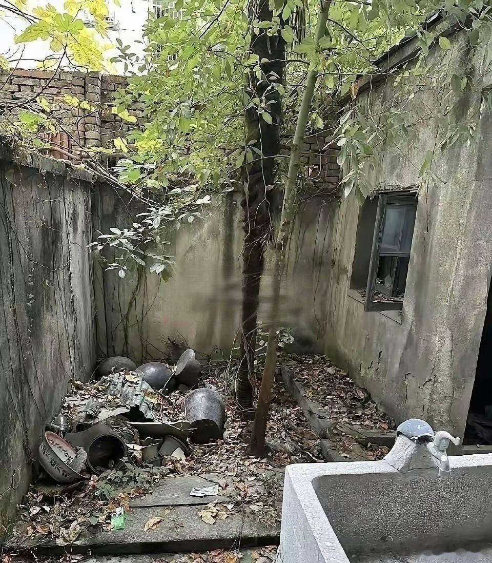 花了 2000块，你觉得值不值？ 