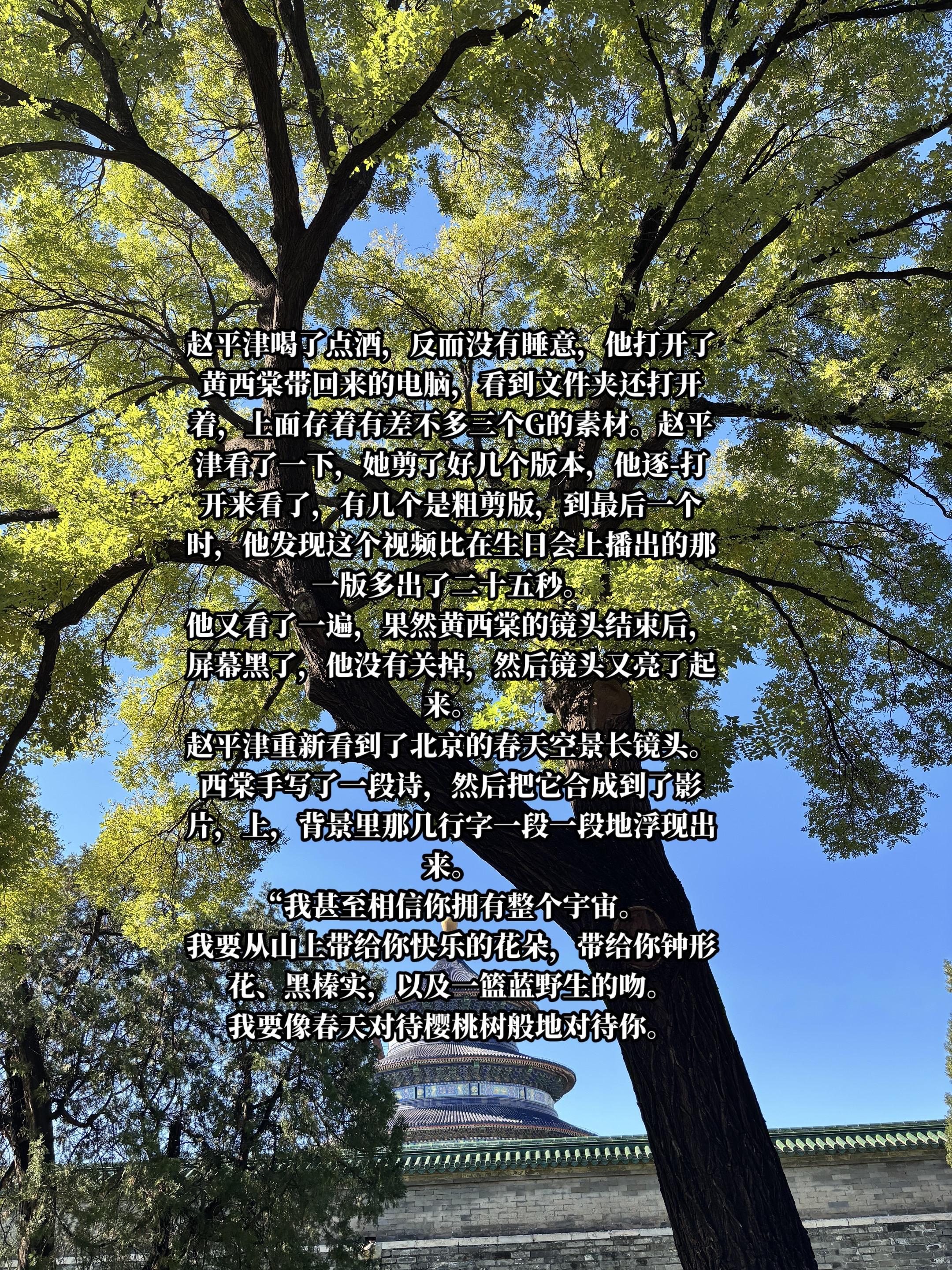 我要像春天对待樱桃树般对待你。