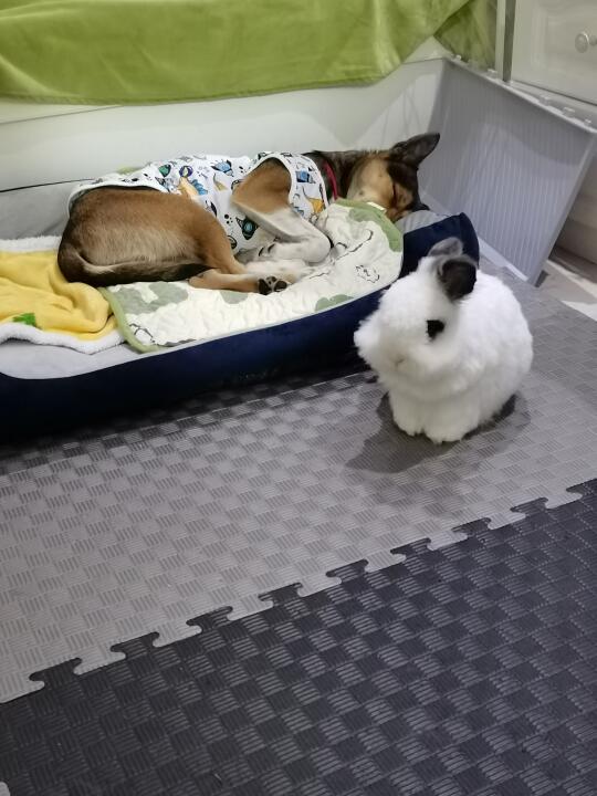 小宝：我为弟弟保驾护航