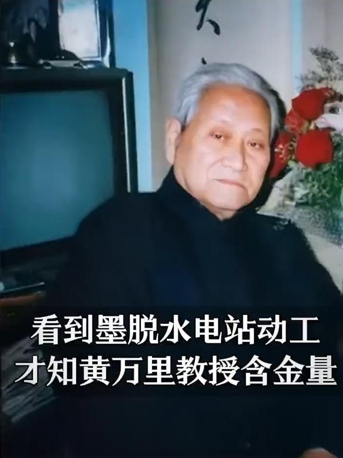 原本以为保守派已经天下无敌，没想到还有高手：极端保守派！

要说雅鲁藏布江修水电