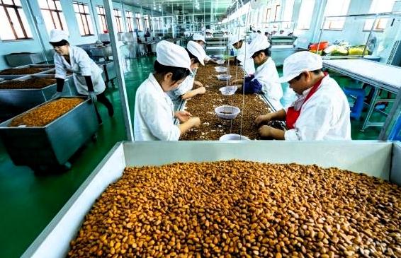 国榜头条: 手握全球七成松子生意！吉林梅河口市2026年又添两张产业王牌

东北