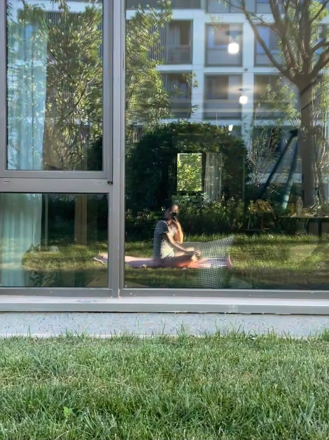 自从每天五点半起床之后在草地上冥想