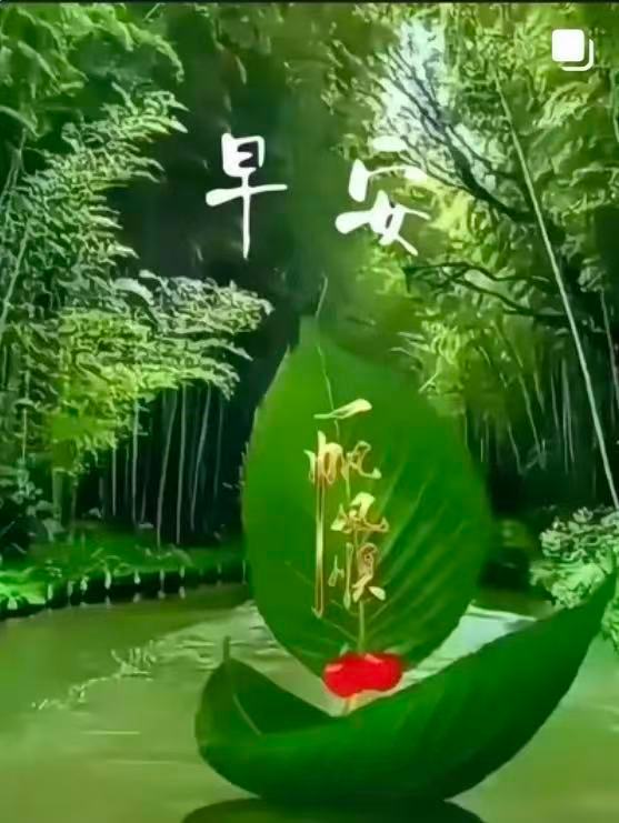 分享图片 