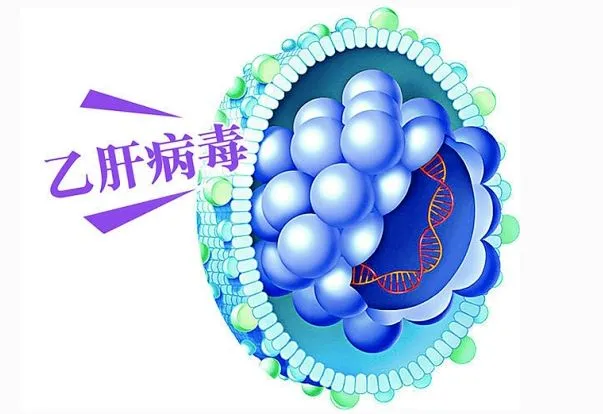 为什么有人查出乙肝能活到90？原来长寿的乙肝患者都做到了这3点！ 1...