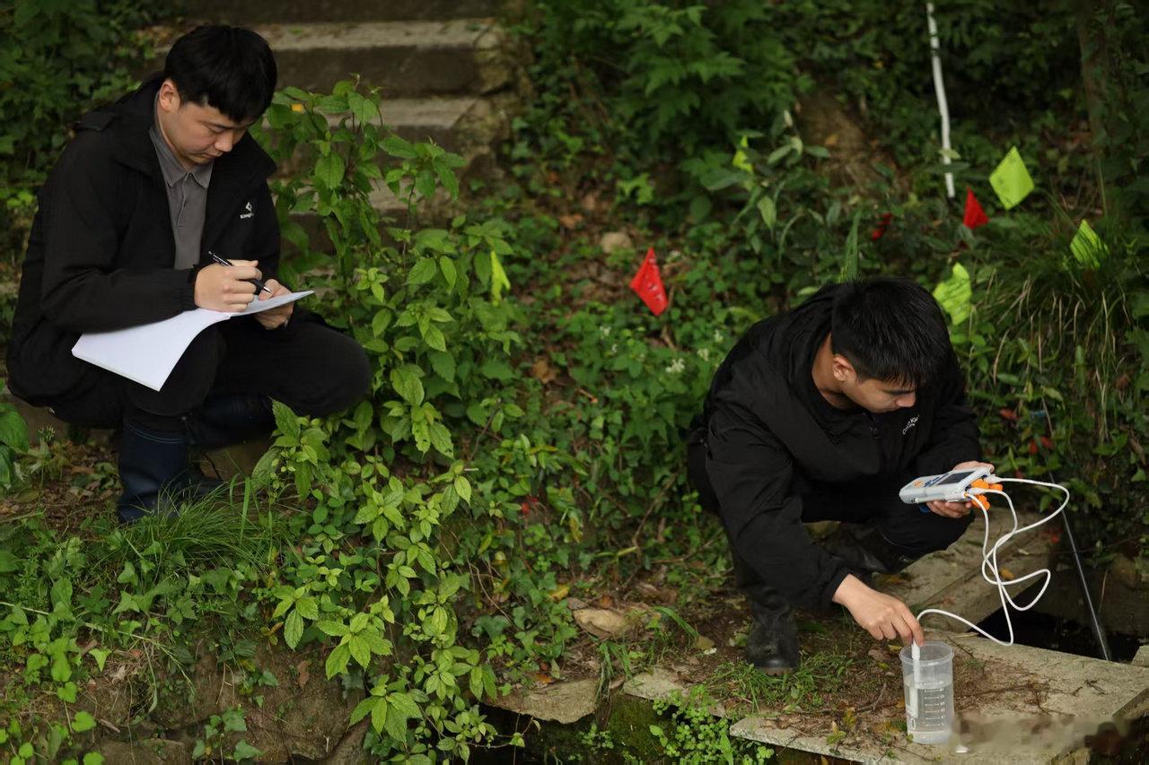 宁波再现崇安草蜥身影比大熊猫还罕见 近日，科研人员在北仑九峰山瑞岩寺森林公园发现