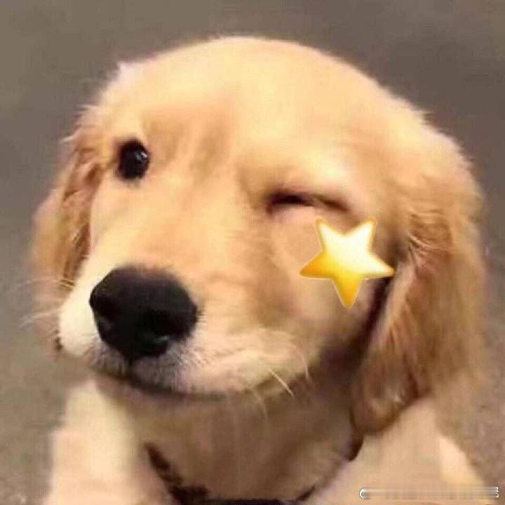 #为什么职场年轻人想喝酒#适量饮酒能刺激大脑分泌多巴胺等快乐激素，带来愉悦感和满