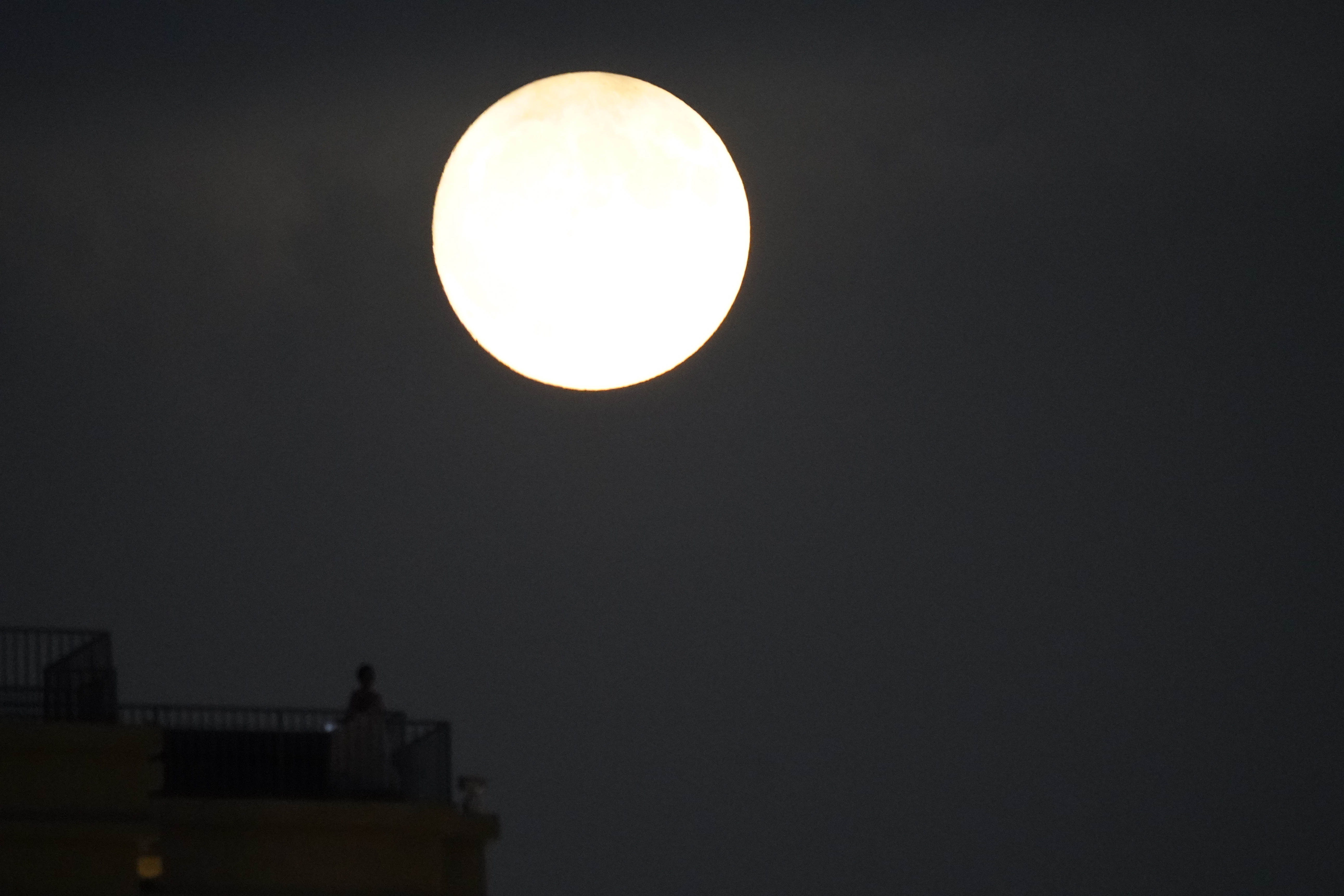 #超级月亮#和老婆上天台拍超级月亮，技术不行啊。。。天气也不行。。。还缺个室外补