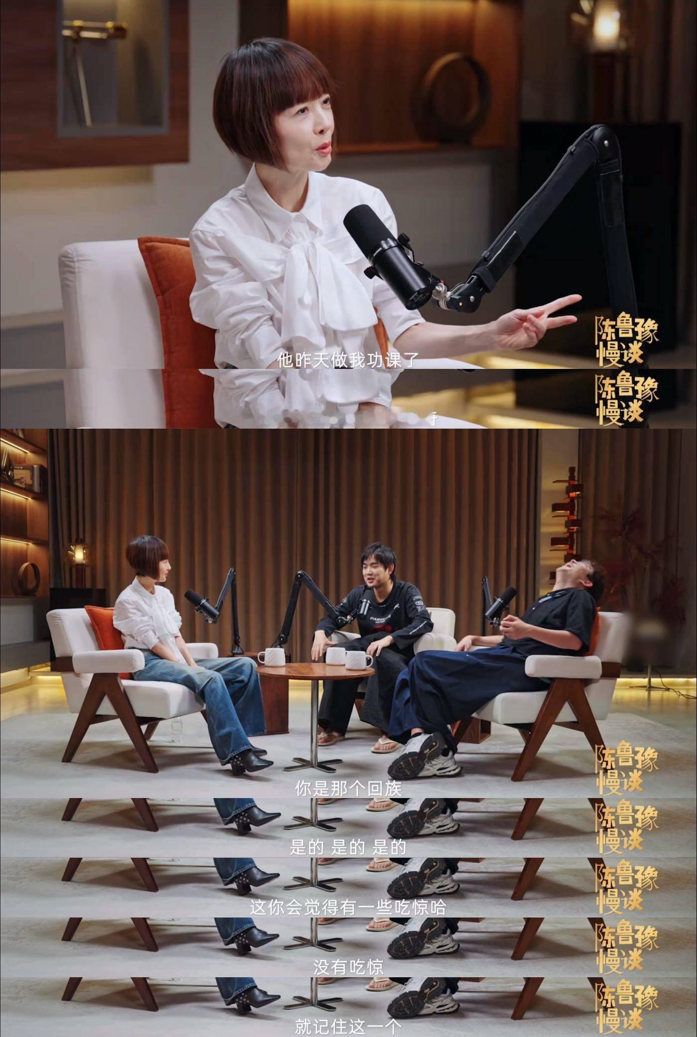 网友和鲁豫访谈belike做背调的我belike：步骤全执行，过程都正确，结果它