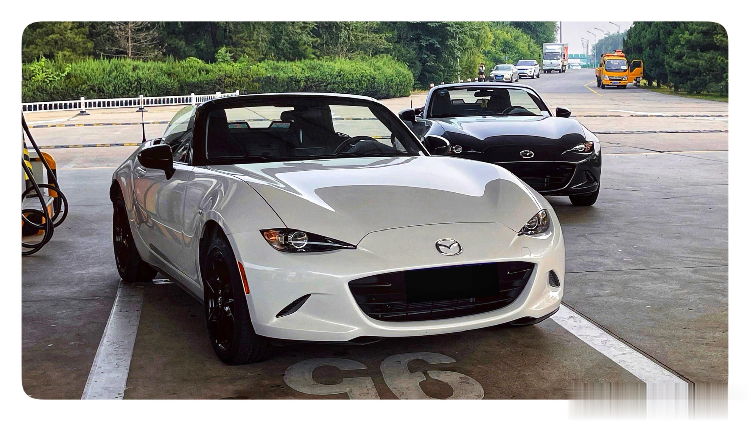 成群结队的小可爱。[doge] #凯文聊车##马自达mx5# ​​​