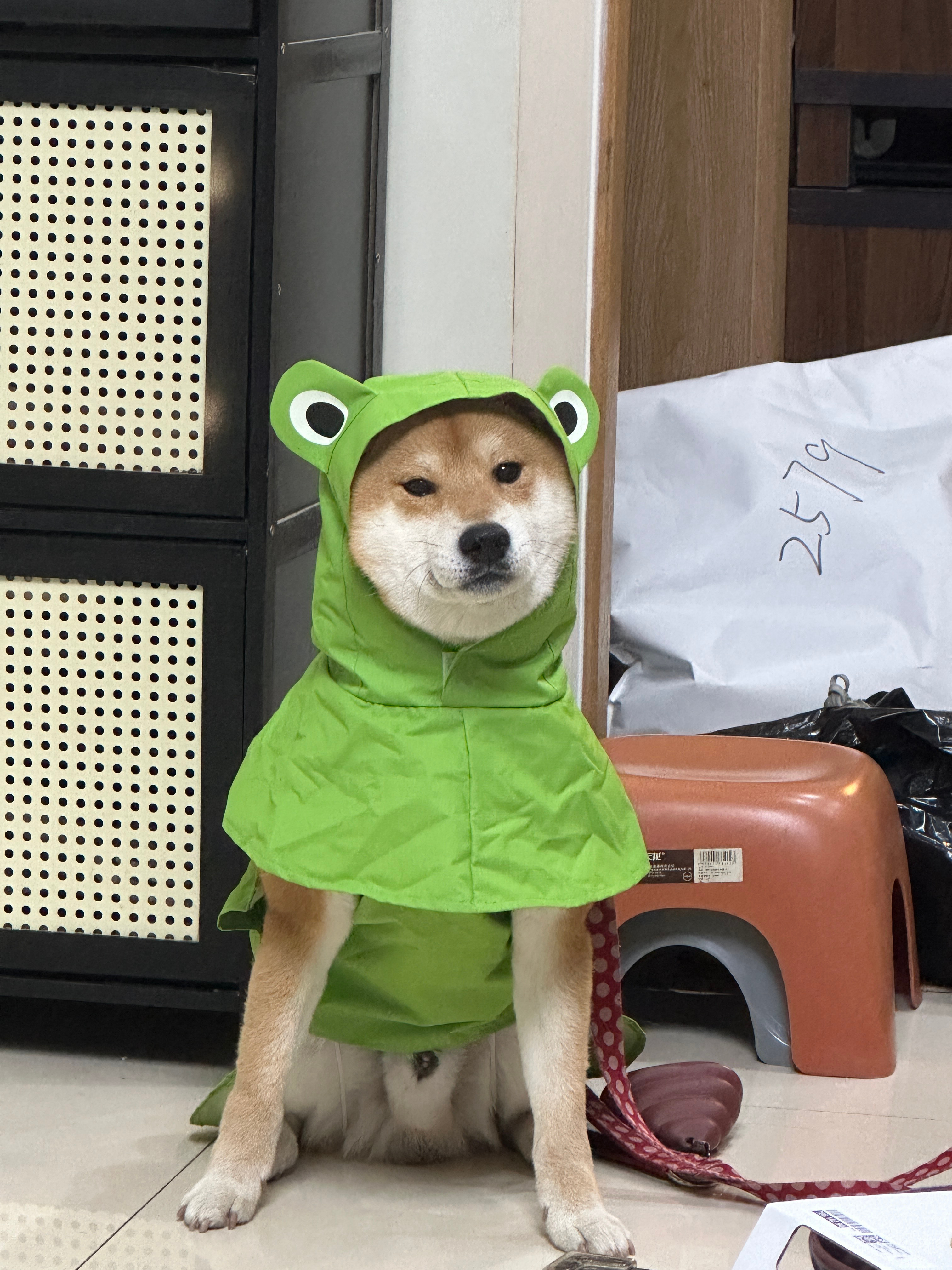 当我用镜头开始记录 那一定是感觉到了很幸福的小事 