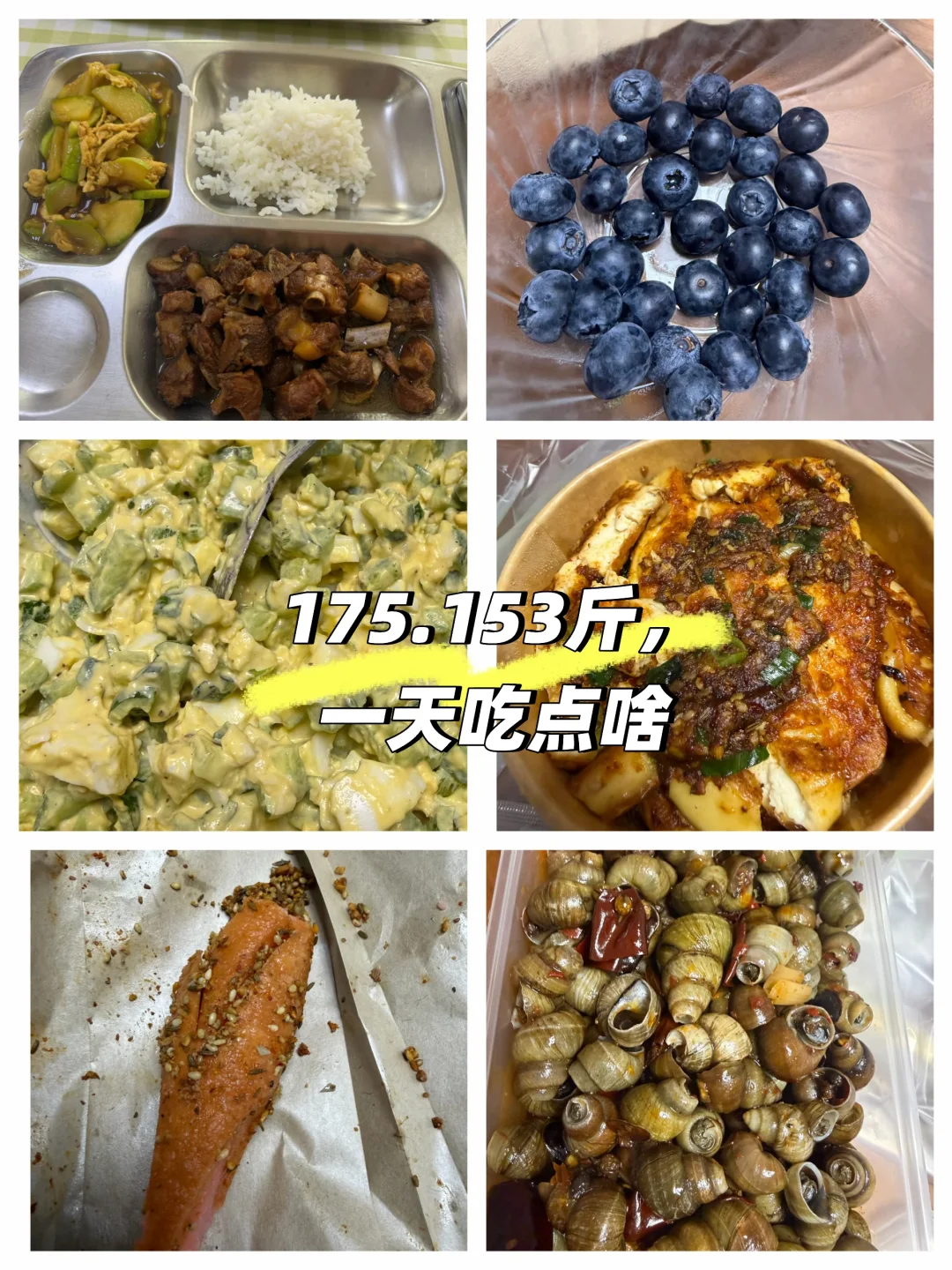 查看我的进食情况👀
