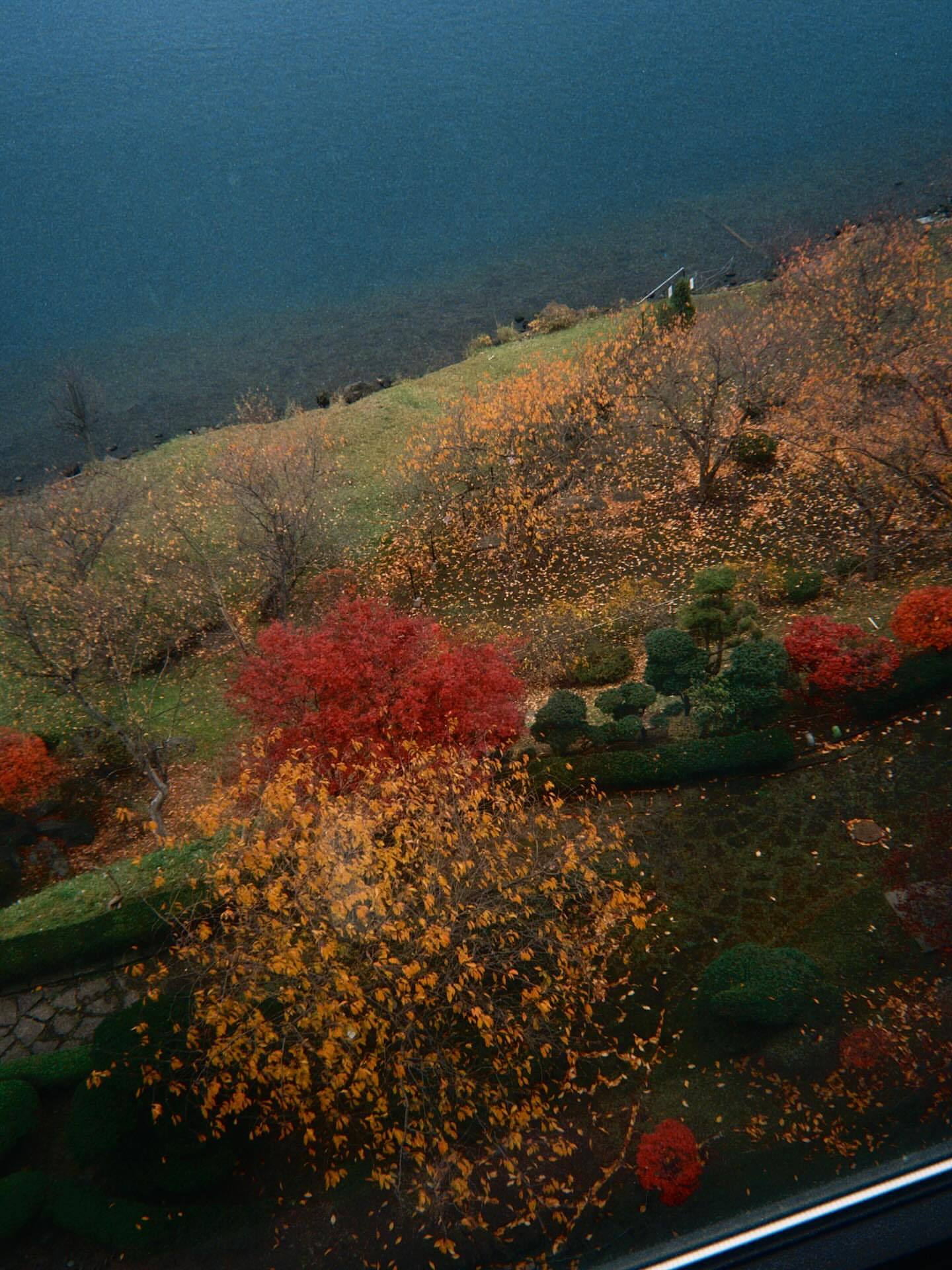 陈昊宇📸东瀛秋日私语，PRADA 女郎の明媚枫叶季🍁 