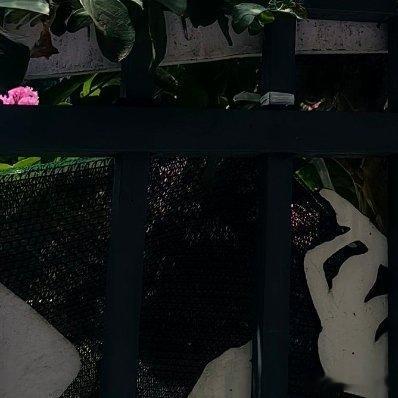 花园里，你种下的花还在，只是再也没有人为我采花了 