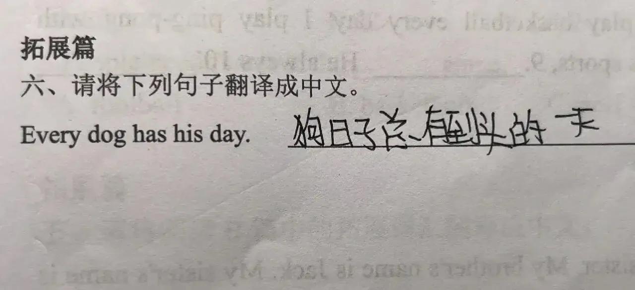 “狗日子总有到头的一天”，儿子翻译的水平，还可以吧？