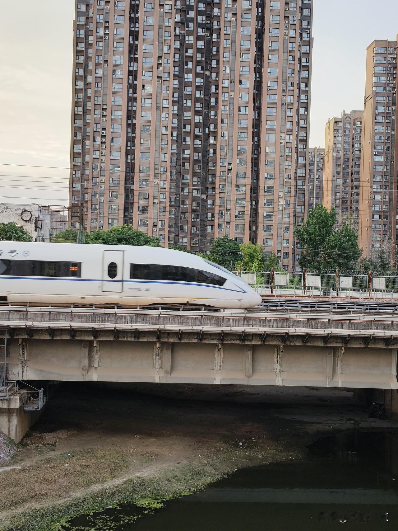 数据小总结:2026年国铁集团三季度运行图调整后济南局配属的动车组数量。
   