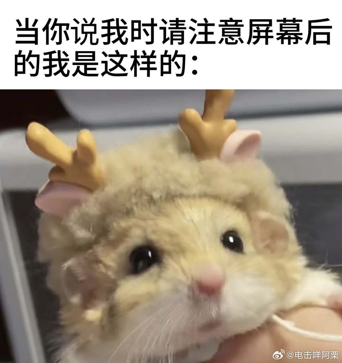 知道不 ​​​