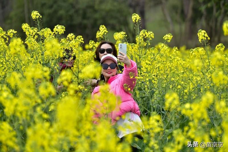 不用裹着厚厚的外套，出门散散步，路边开满小花，树叶绿油油的，看着就心情好。
 