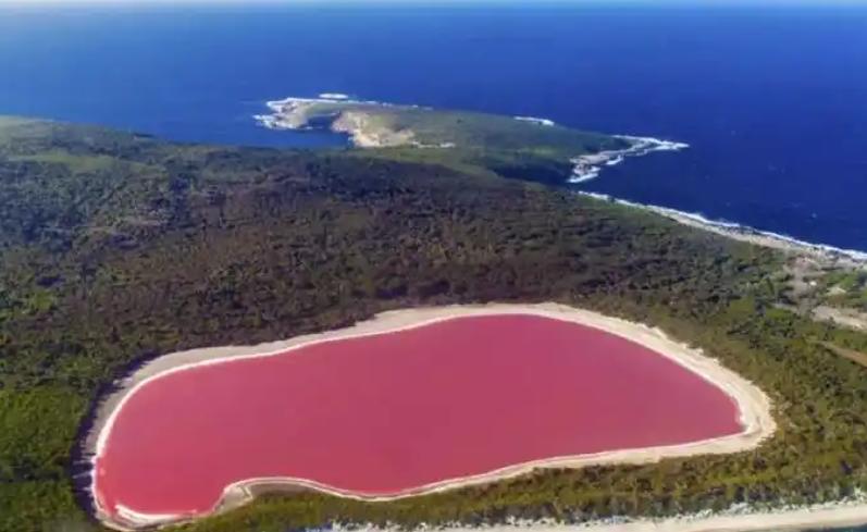 湖水咸度超死海10倍，一天仅赚5到10美元，为何还有万人抢着干这份苦工？

塞内