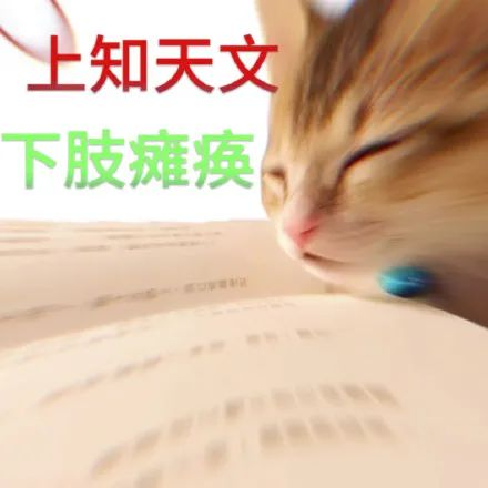 #meme# ​​​