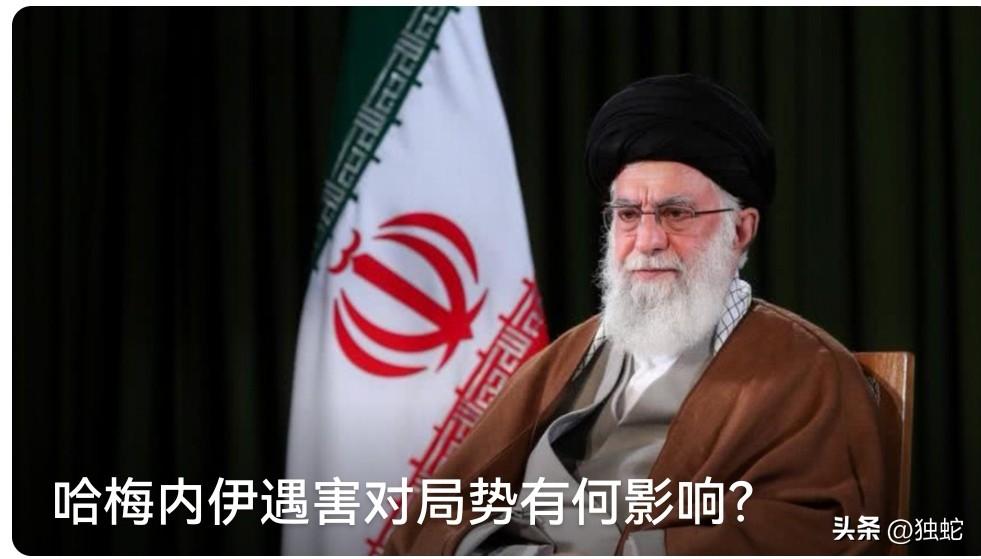 我并不喜欢俄罗斯，也不喜欢伊朗，但从中国未来利益和和平看，我义无反顾地支持俄罗斯