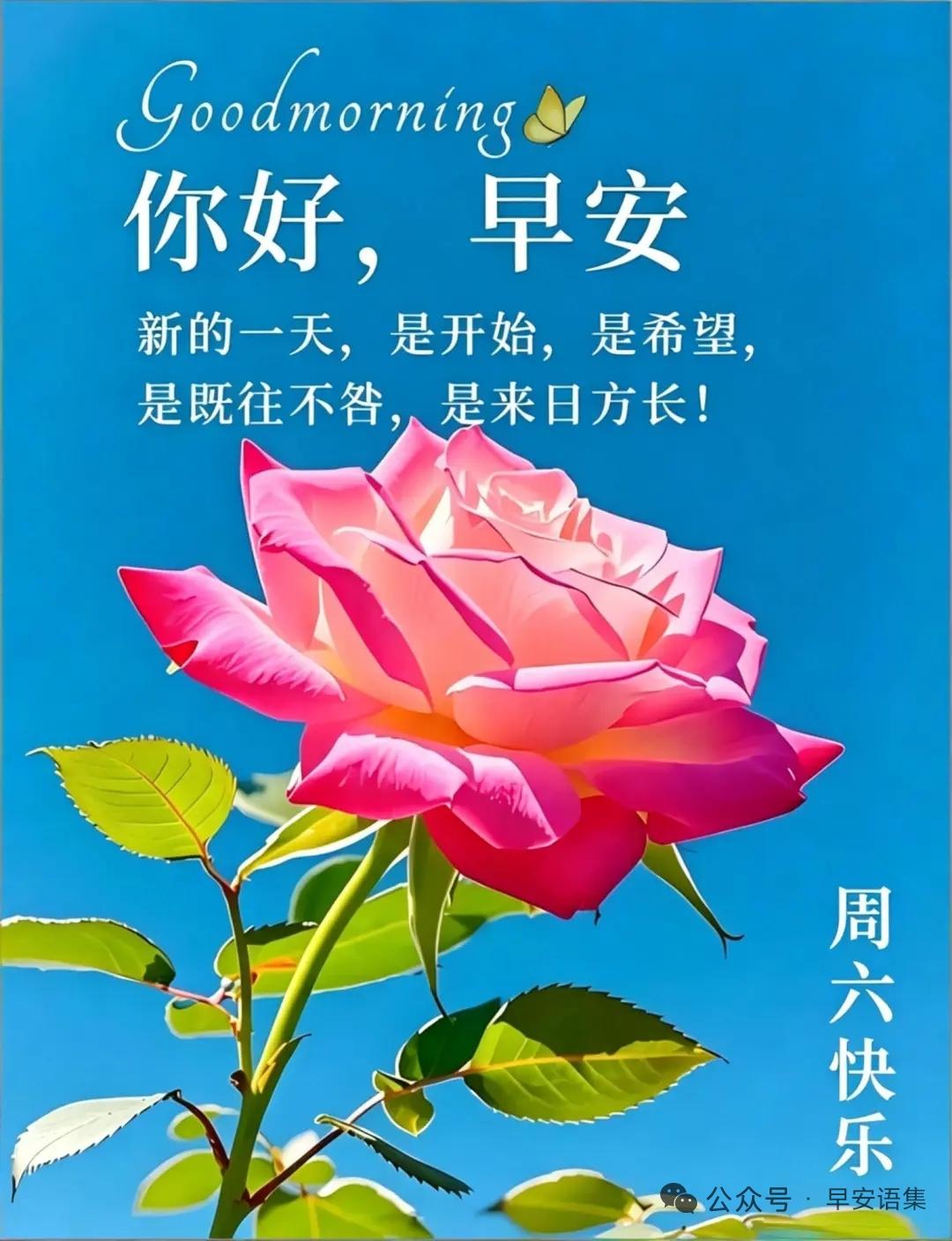 我认为该男人做家务也是对家人们的爰和关心！