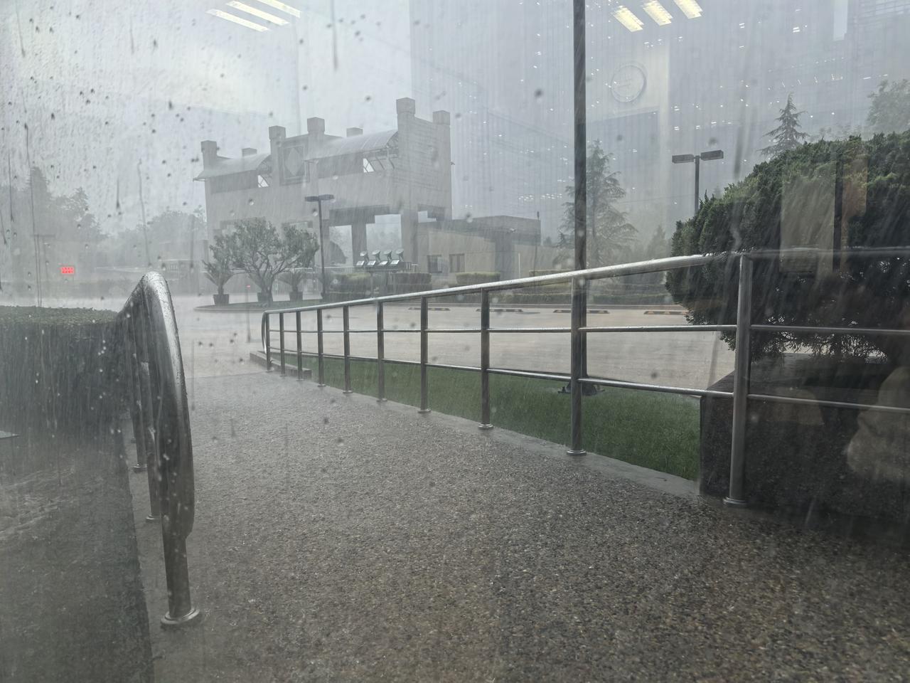 夏日生活打卡季