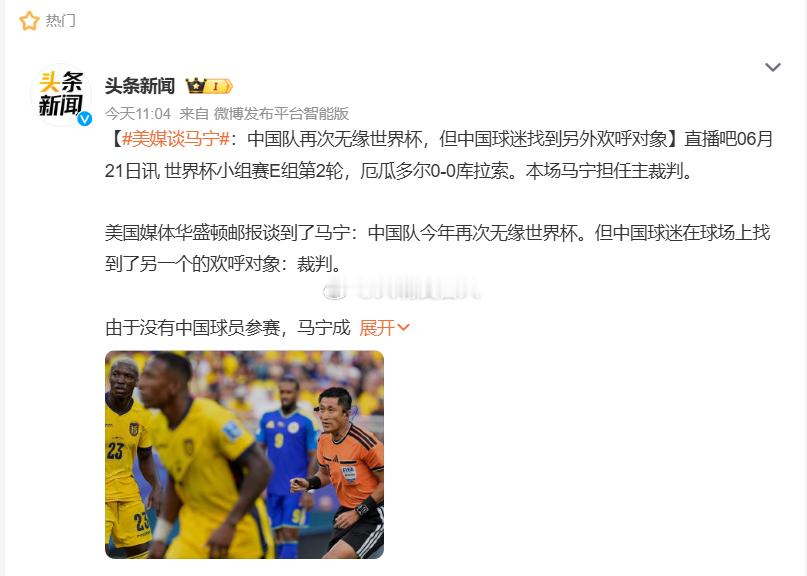 美媒称中国球迷找到了欢呼对象马宁    看了马宁在世界杯球赛中的执法表现，大概可