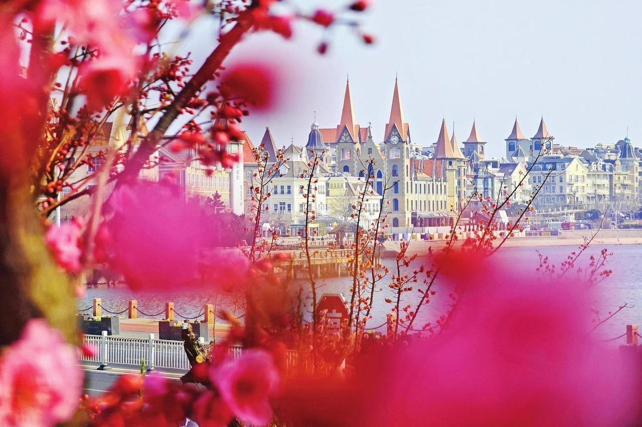 山东省烟台市滨海沿线在沁人花香与清爽海风中感受“面朝大海，春暖花开”的独特浪漫