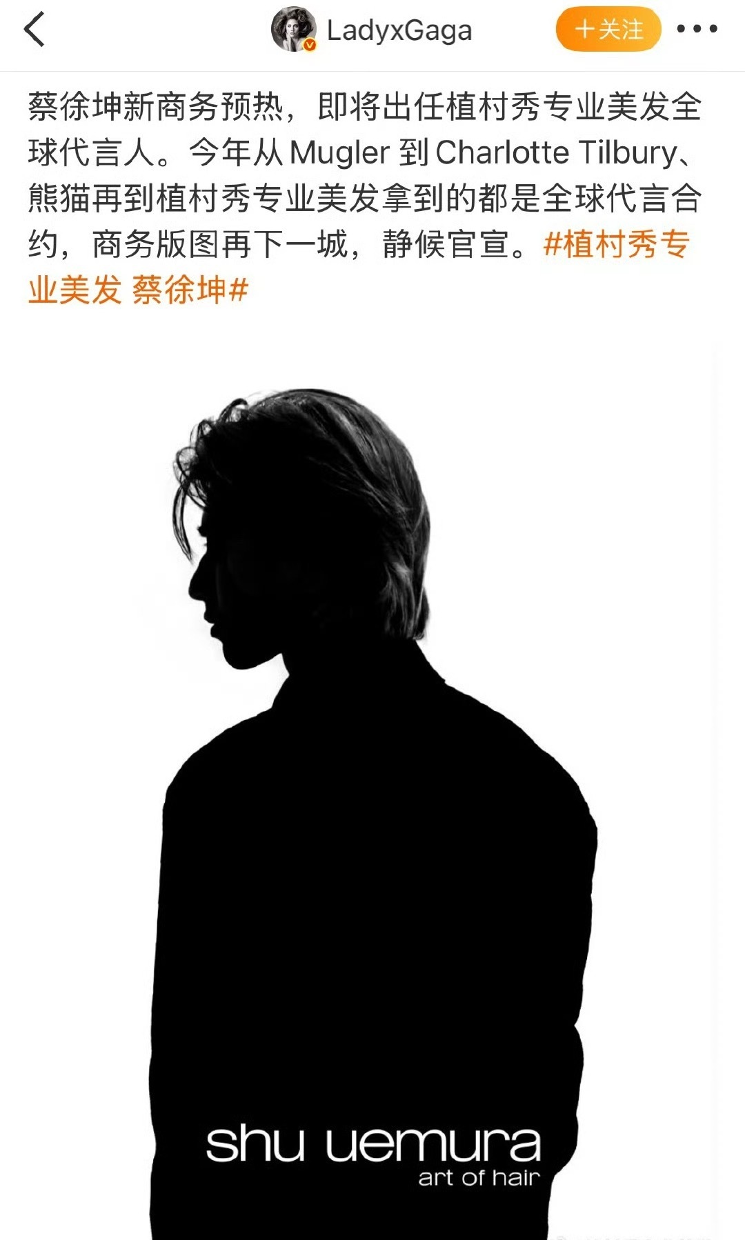 蔡徐坤植村秀专业美发是个什么title ​​​