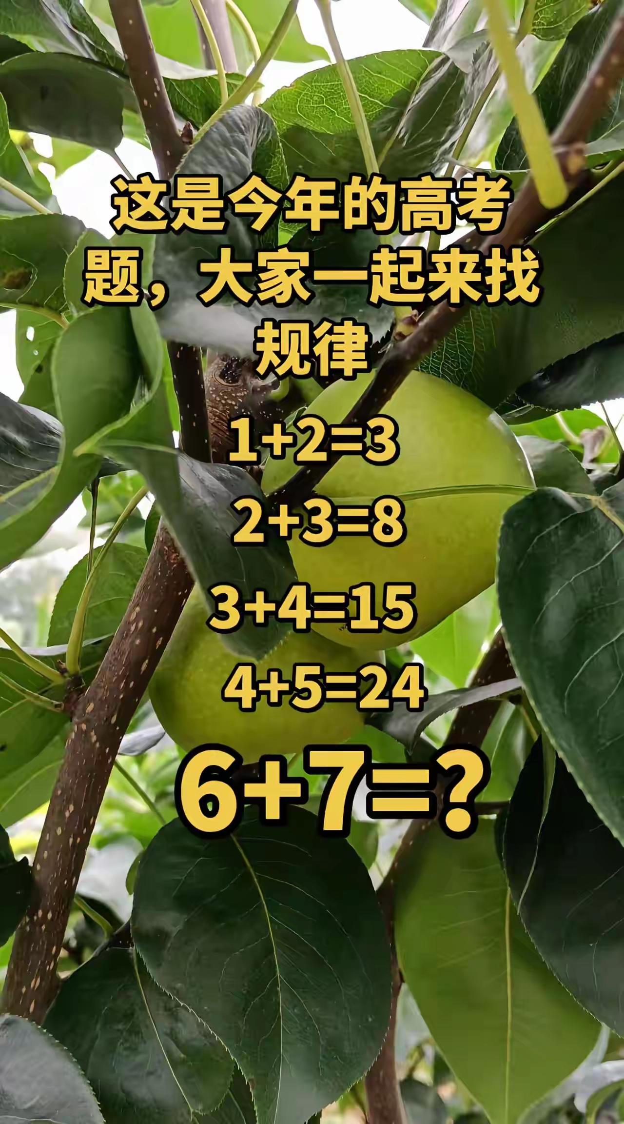 6+7=？找规律。这是高考题？我不信，你也不能信。为了不让你的脑子废掉，就当这是