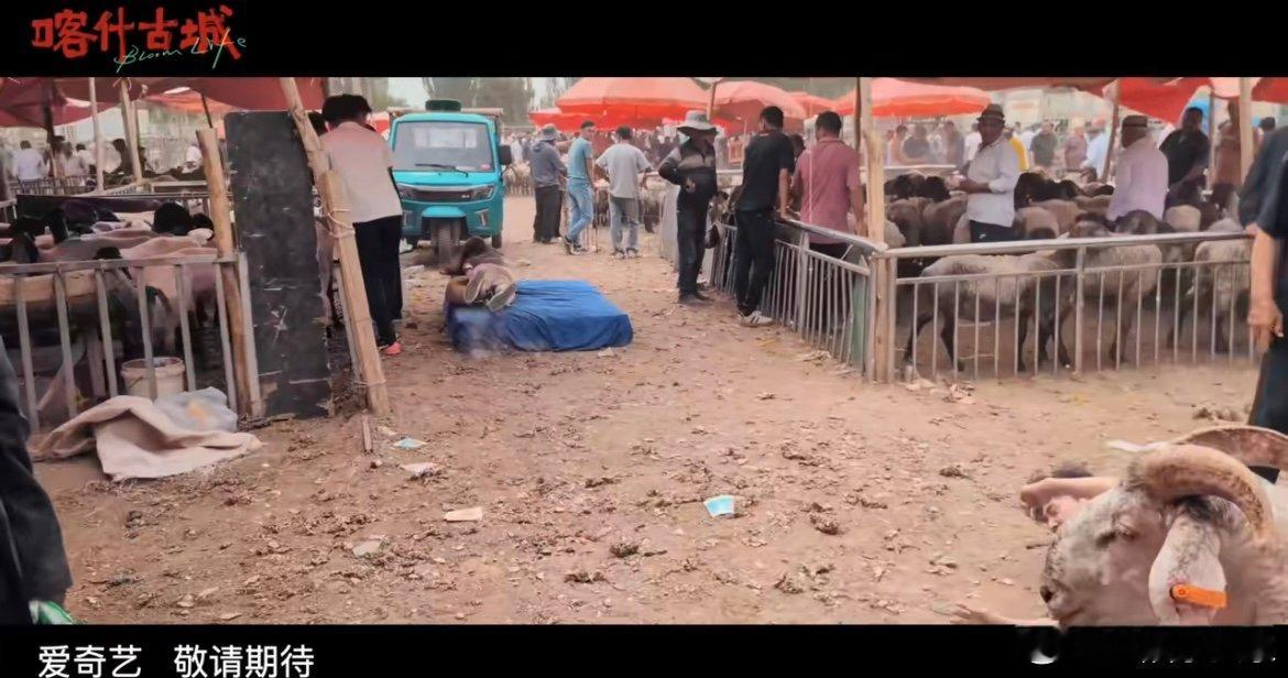 李兰迪新剧被雨淋又被羊追 看《喀什古城》杀青特辑，彻底爱上李兰迪的真实！淋雨戏不