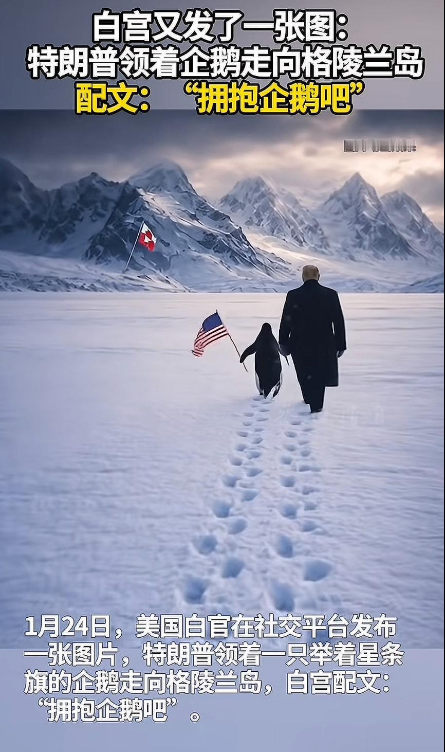 白宫幽默配图：特朗普牵着企鹅走向格陵兰岛，“拥抱企鹅吧”这条幽默配图在网络上迅速