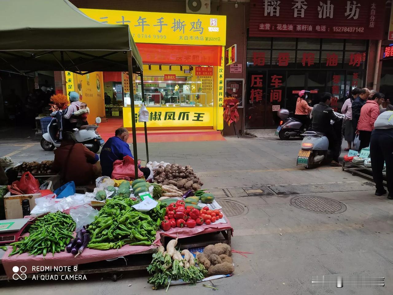 分享一张你最近随手拍的照片吧