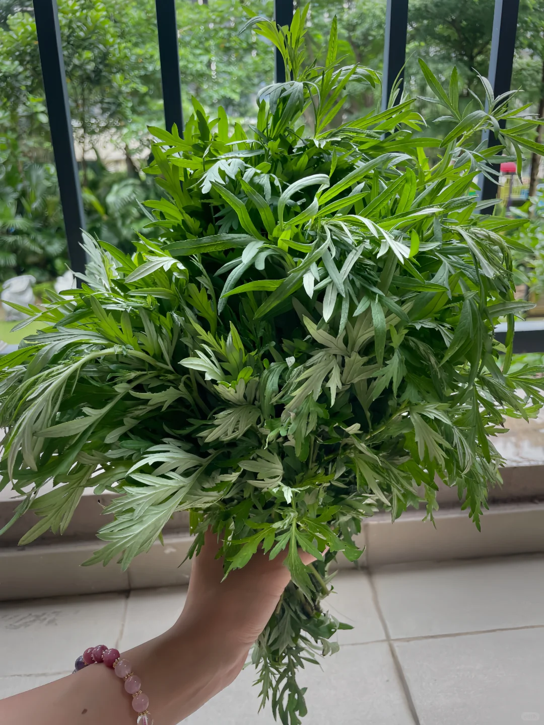 端午蕞全养生集合，让你平稳度过五毒月。
