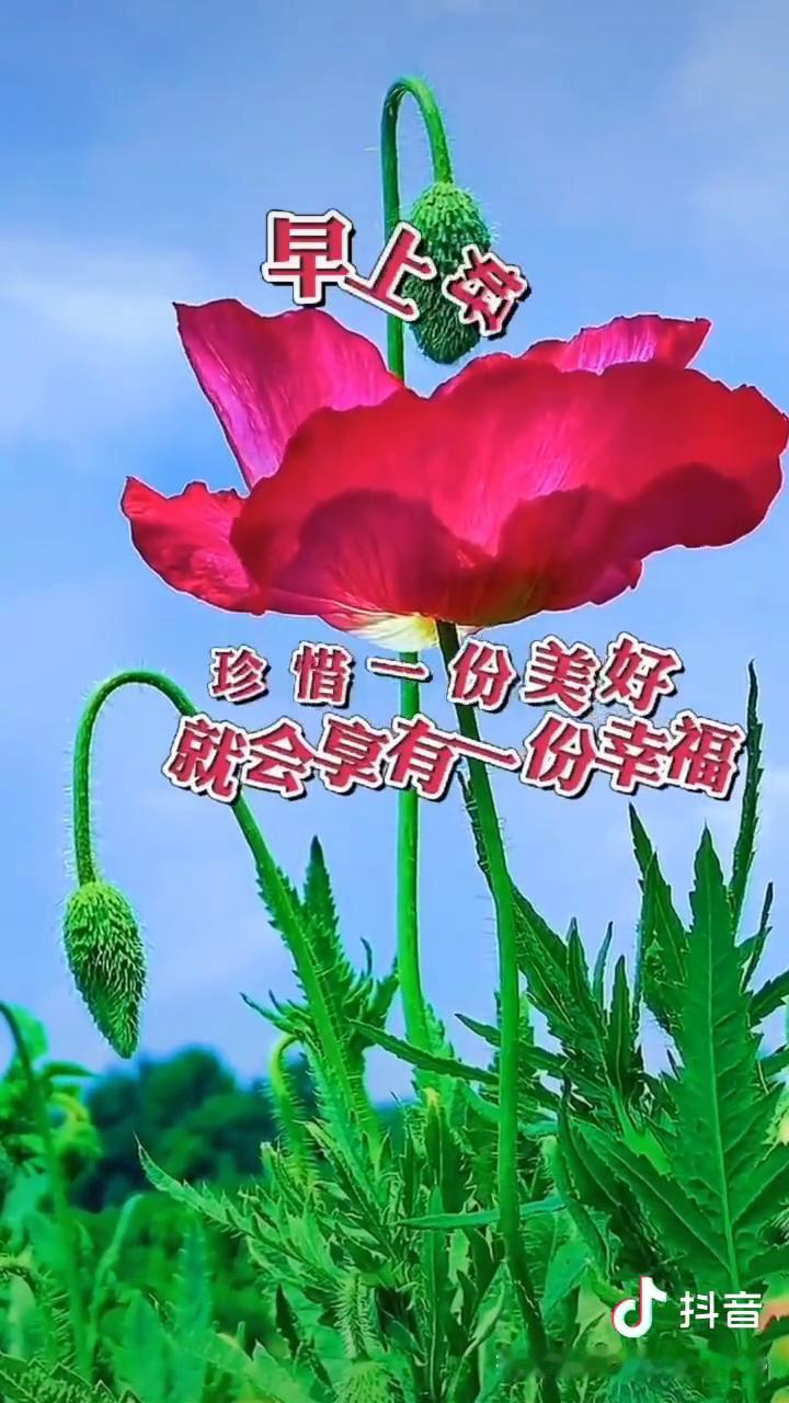 早上好。
没有不老的人生，只有不老的心态。人到老了气质战胜了颜值，微笑温柔了岁月