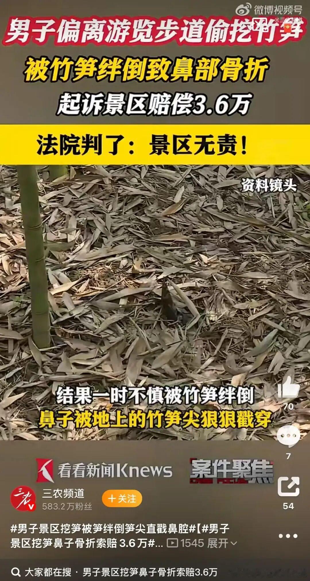 男子偷挖笋受伤向景区索赔被法院驳回出门旅游真的别乱伸手🙏刷到一个又离谱又警醒的