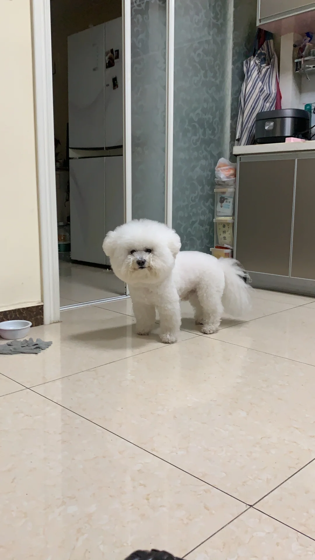 这还拿不下你？😋