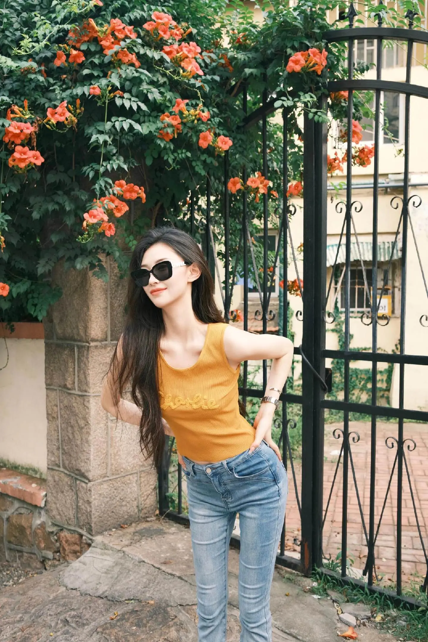 有一天这首歌会变老 就像老杨树上的枝芽