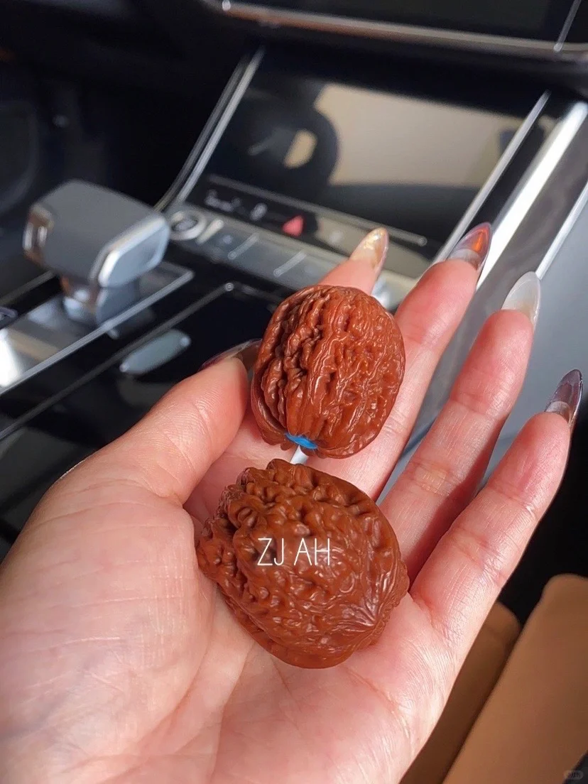 永远的最爱♥️