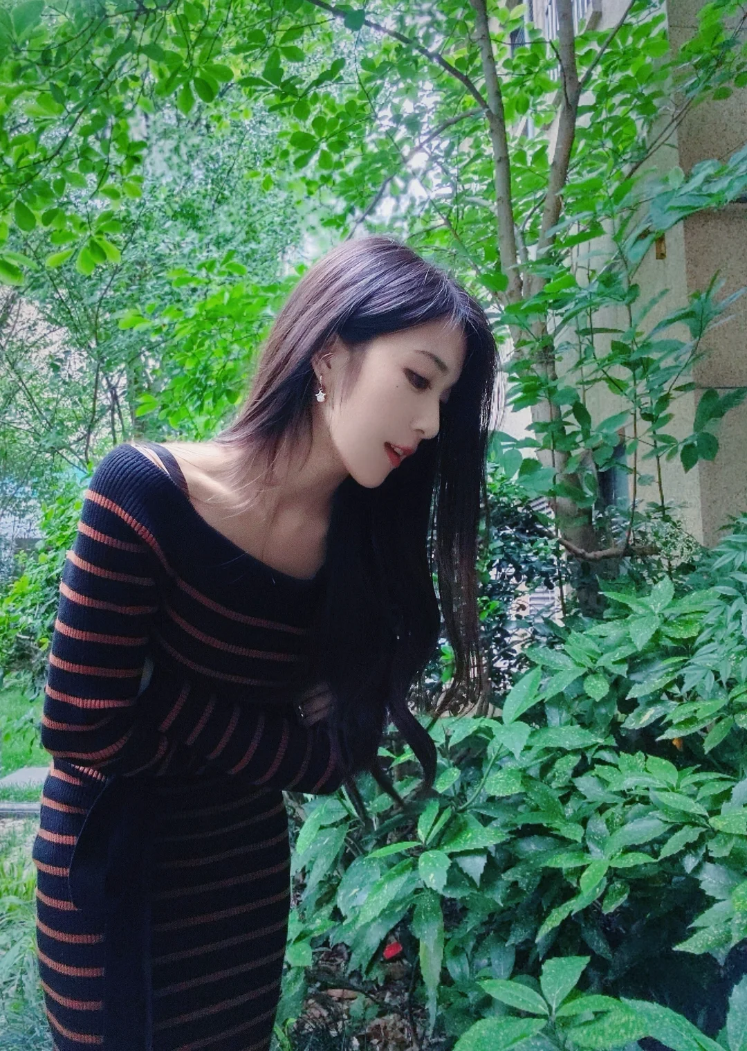 郁郁葱葱的阴天